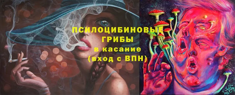 Галлюциногенные грибы Cubensis  Биробиджан 